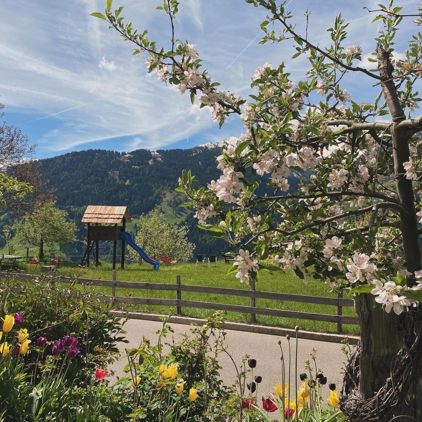 Hotel Alpenland Moso Esterno foto